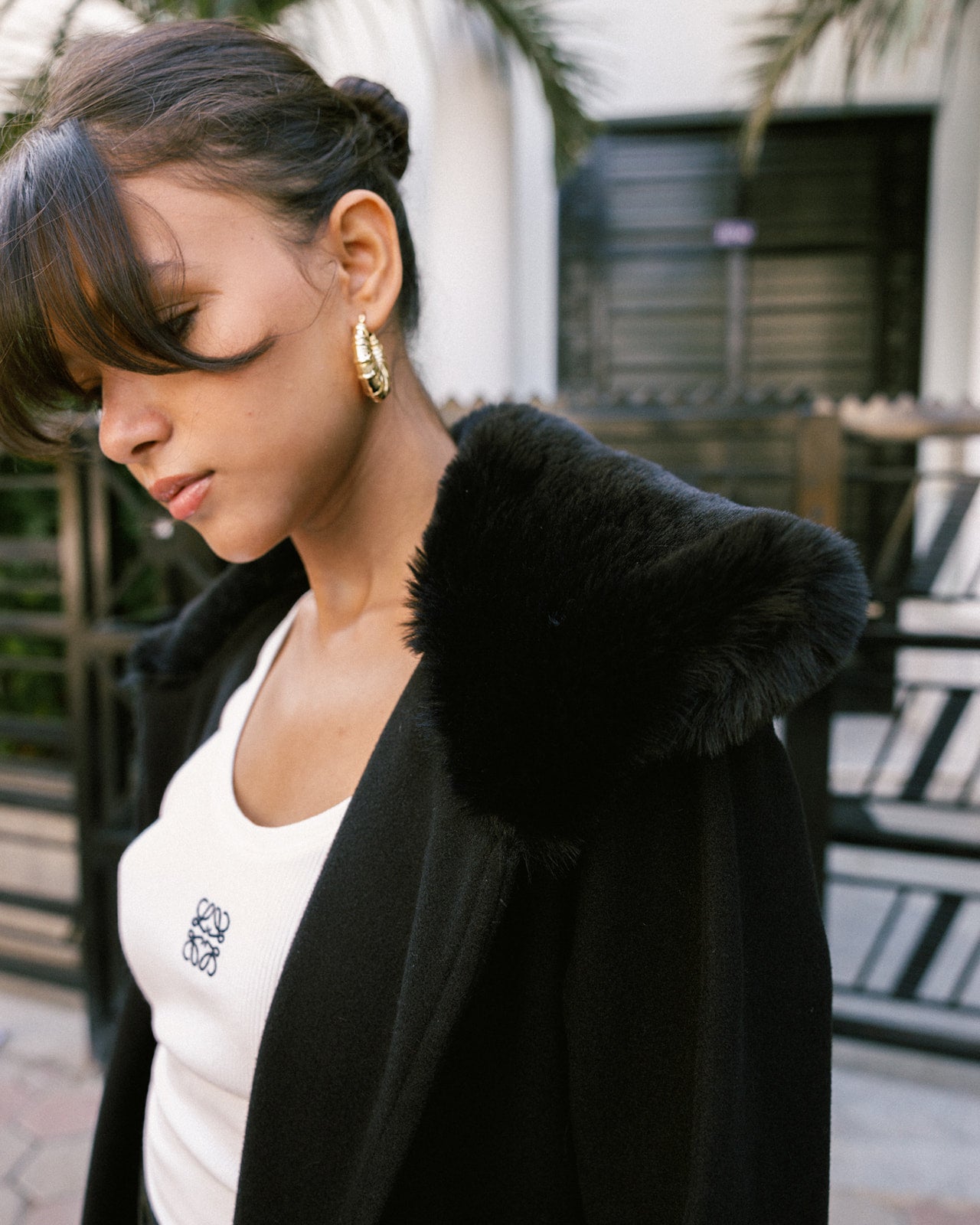 Black Collar Fur Coat